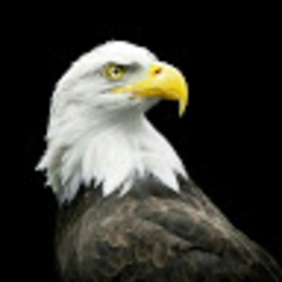 Meet your Posher, Jay kay - Picture 1 of 1